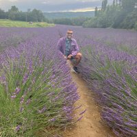 Gian Marco Solas (@gianmarcosolas) 's Twitter Profile