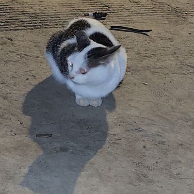 joanne88302's profile picture. 