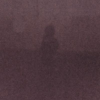 hopscrotch's profile picture. sweet potato leaves