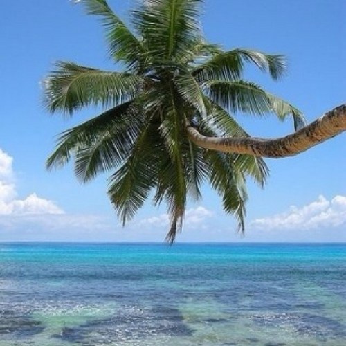 LaDonnaLynn71's profile picture. 