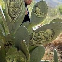 البعض يعيد التغريده لشخص ما دون ادراك ماتحتوي هذه التغريده