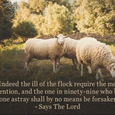 Lord, I put my family in your hands today. I can't control everything that happens to them but I can remember to cover them in prayer. Please keep them safe.