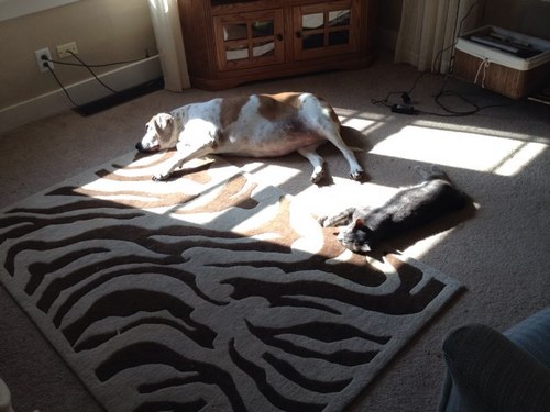 flanagan65's profile picture. 