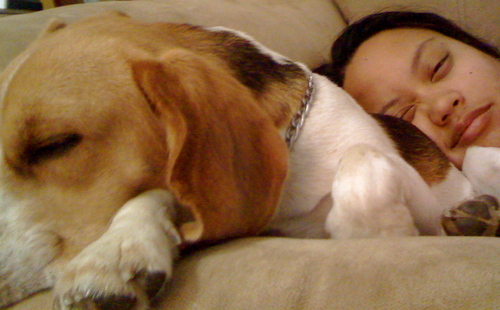 christinerastic's profile picture. 