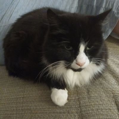 PaulSkinner1's profile picture. Voted Labour Left of Centre  hate the Torys 
Father of 2 Girls both grown up now Grandad to 1 Princess 👸