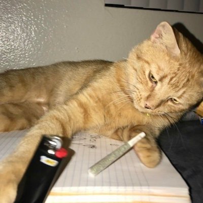 AmandaD18573170's profile picture. Step in and see where it takes you.