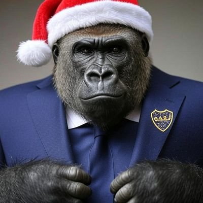Hincha de Boca y de Roman como toda persona de bien