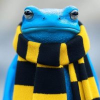 Plattfrosch (@plattfrosch) 's Twitter Profile Photo Plattfrosch (@plattfrosch) 's Twitter Profile Photo