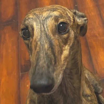 Ruth52054552226's profile picture. Bogan