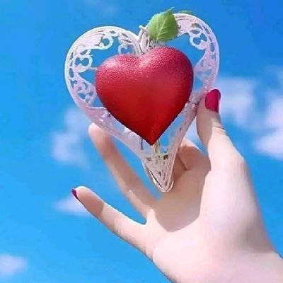💫 أحلامنا في بـئر يوســـــف ألقــيـــت 🥀💕🥀 ونفوسنا ترجوء لقاء القافلة 💫