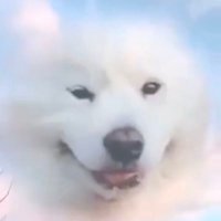 B0RN2RUIN (@b0rn2ruin) 's Twitter Profile Photo B0RN2RUIN (@b0rn2ruin) 's Twitter Profile Photo