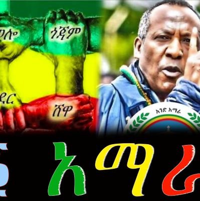 MESFINKEBE56444's profile picture. 