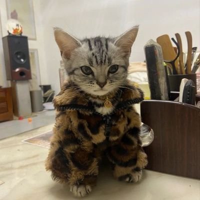 BakrBasha_'s profile picture. 