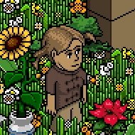 Borealis on Habbo Origins .COM :)
Playing Habbo since 2003!