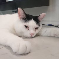 0xMo.eth (@0xmoeth84978) Twitter profile photo