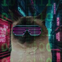 Carl Count (@carlcount55526) 's Twitter Profile