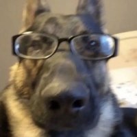 Cosmo (@cosmo1273) 's Twitter Profile