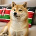 out of context Doge 🇰🇪 (@dogecoinkenya) Twitter profile photo out of context Doge 🇰🇪 (@dogecoinkenya) Twitter profile photo