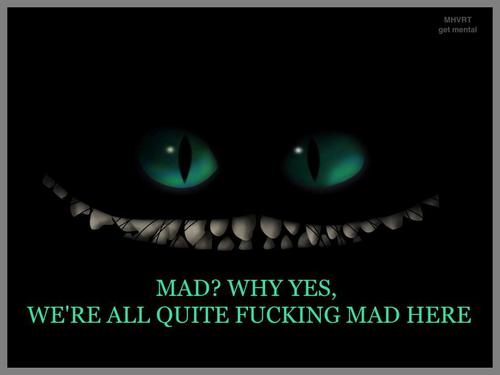 Zombie_Killerz6's profile picture. #GAMER #MW2 #MW3 #BF3  join our team DIRECT MESSAGEs ONLY #TeamFollowBack @TheRock vs. @JohnCena #StopTheHate