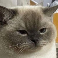 ใขใฉ ใขใฉ (@ara1316_) 's Twitter Profile Photo ใขใฉ ใขใฉ (@ara1316_) 's Twitter Profile Photo