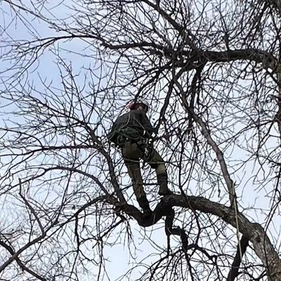 Just a dude who grows food and climbs trees. Navy veteran, guitar amateur.
