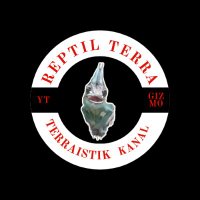 Reptil-Terra π©πͺ (@reptilterra1820) 's Twitter Profile