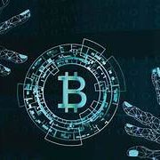 BShammai26321's profile picture. 