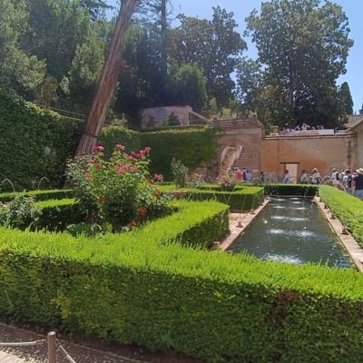 ma43084's profile picture. 