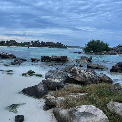 muharremsevim27's profile picture. Elegance isn’t a choice; it’s a lifestyle built on passion, success, and beauty in everything.