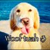ouppy :3 (@dumbahhdoggy) Twitter profile photo ouppy :3 (@dumbahhdoggy) Twitter profile photo