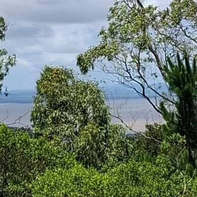 melizpasqu90112's profile picture. 