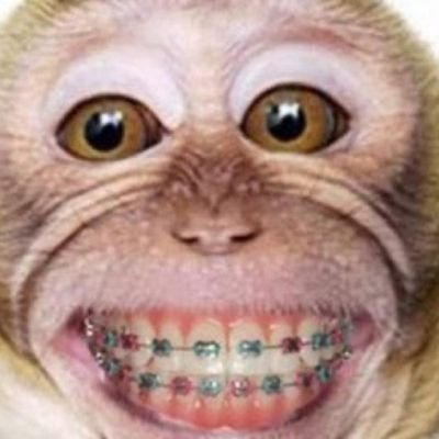 Danielyanza2's profile picture. 