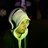 Mazen_ezz15's profile image