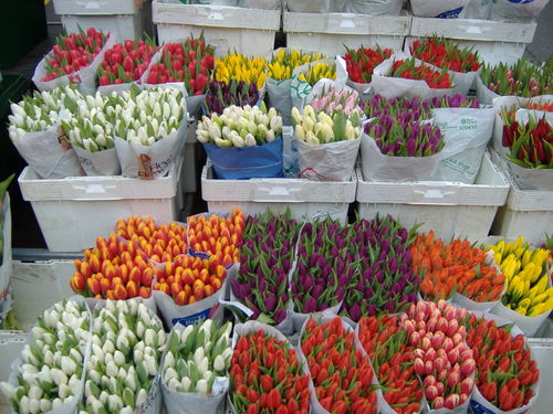 modernFart's profile picture. i fart.  therefore, i tweet.  follow my farts.