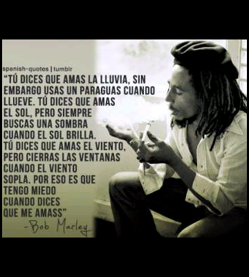 perlitamonti's profile picture. 