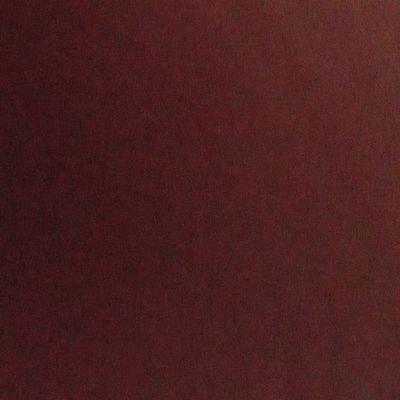 backup page @317dlbigtop