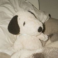 tessa (@vawnfawn) 's Twitter Profile Photo tessa (@vawnfawn) 's Twitter Profile Photo