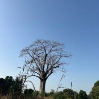 Sarr (@sarr376468) 's Twitter Profile