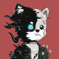 kimphuong The Bene 🦭/acc (@ninhnguyenvan17) 's Twitter Profile