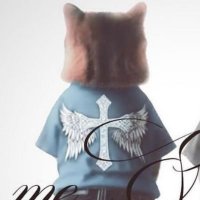 Rott 🦉 (@rotsito123) 's Twitter Profile Photo