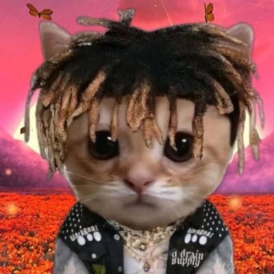 AdiVsTheWRLD's profile picture. i make like beats and stuff