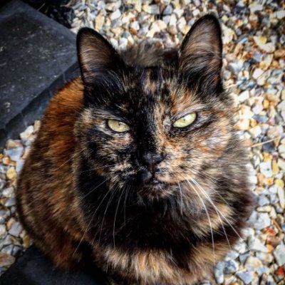 philxrp589's profile picture. 