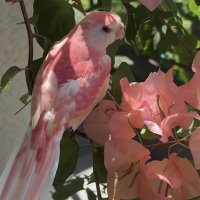 Jarny (@wdaltjany) 's Twitter Profile Photo Jarny (@wdaltjany) 's Twitter Profile Photo