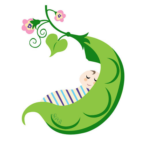 sweetpeabirths's profile picture. I am a wife, mama to 4, lactivist, homeschool advocate and Bradley Method® CBE