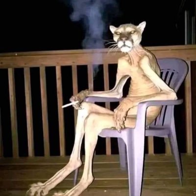 Goopbrain666's profile picture. (35M) goon til i die. DMs always open.‼️ MDNI‼️ OC: @toy_throat