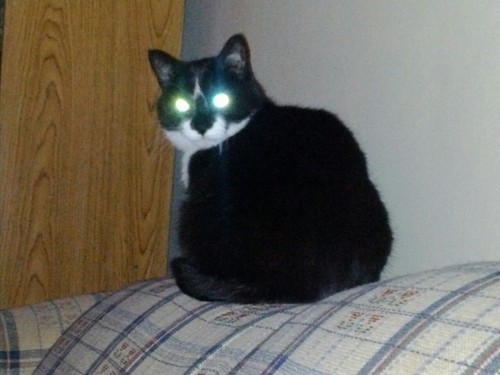 WhatsNathanDuin's profile picture. A resident of the Fox Cities of Wisconsin. Interested in anything new, so tweet it!