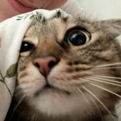 yes

https://t.co/mBNbYJ2Zi6