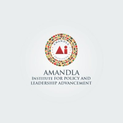 Pan-African nonprofit fostering leadership, governance, democracy, and development since 2024. Building solutions for “The Africa We Want”.