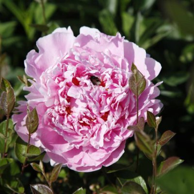 KarinaMont68263's profile picture. 