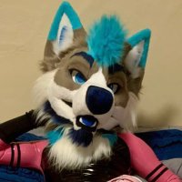 Frost T. Husky (@frostthusky) 's Twitter Profile